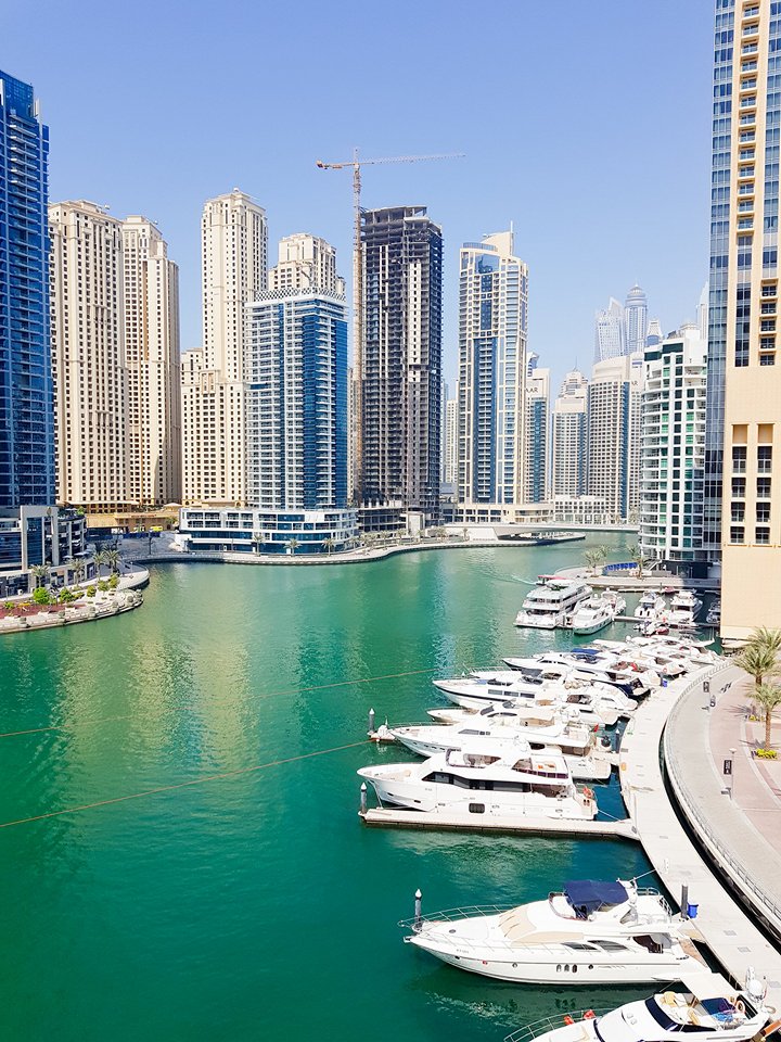 23584616_1934087319941563_1670180902_n