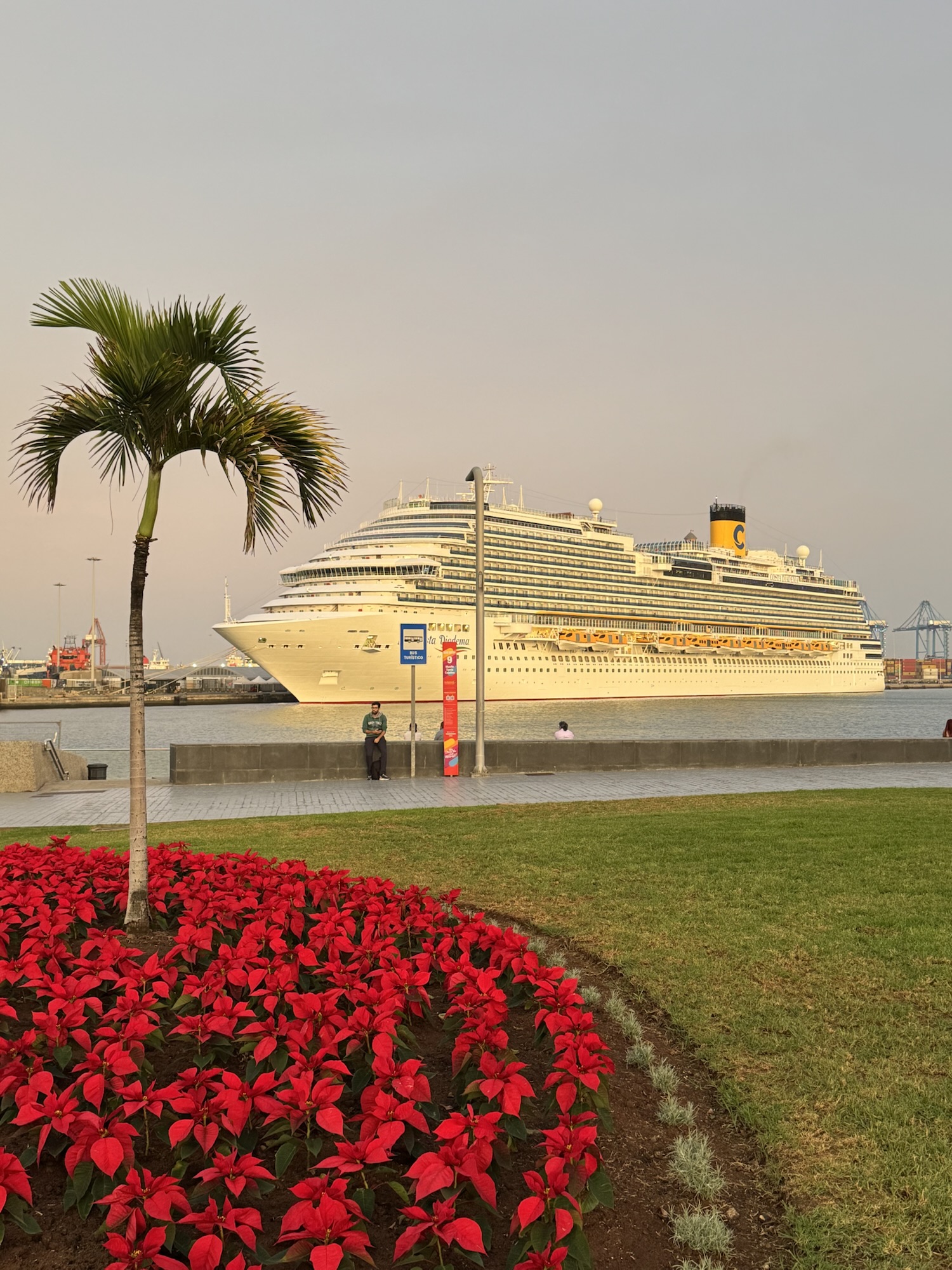 Transatlantic Cruise with a Toddler: From Spain to Brazil (Honest Review)